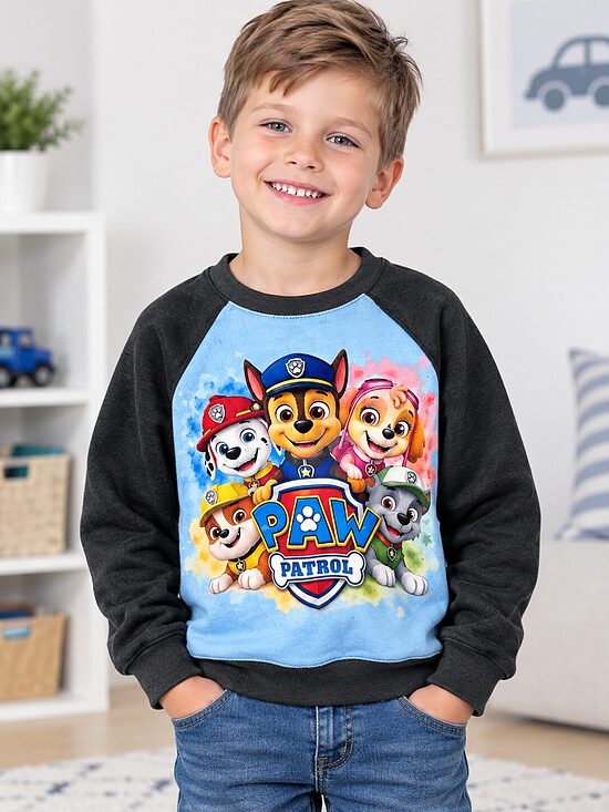 Pelēks samta auduma džemperis. ,, Paw patrol,, 110.izm.